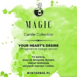 efe1c3134a563cd47d355ffdba98bafe