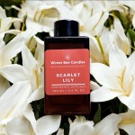 Winter-Bee-Candles_Scarlet-Lily_100ml-2023-1.jpg