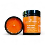 Winter-Bee-Candles_pumpkin-delight_150g-1.jpg
