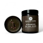 Winter-Bee-Candles_stranger-in-the-dark_150g.jpg