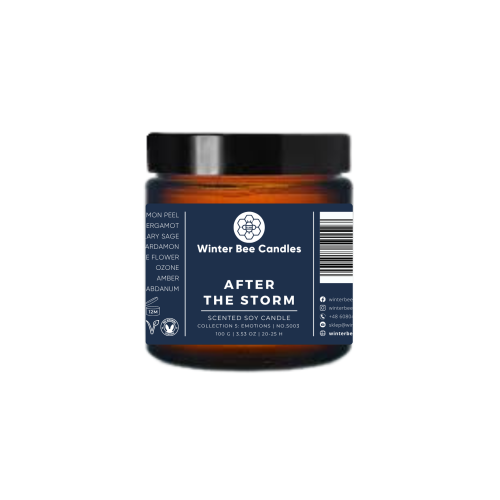 Winter-Bee-Candles_After-the-Storm_100g.png
