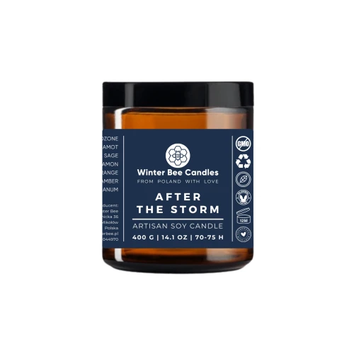 after-the-storm-150g_winter-bee-candles.png