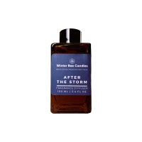 Dyfuzor z patyczkami Winter Bee Candles - After the Storm - 100ml